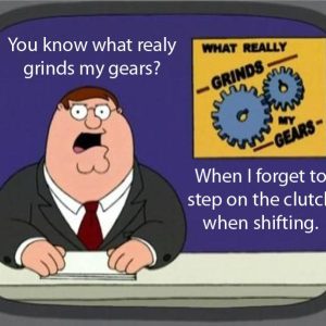 Peter Griffin Do You Know What Really Grinds My Gears