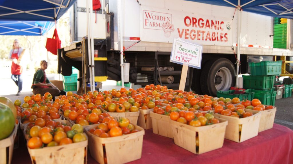 St Pete Farmers Market Online