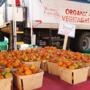 St Pete Farmers Market Online