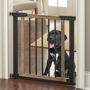 Smart Pet Door Reviews