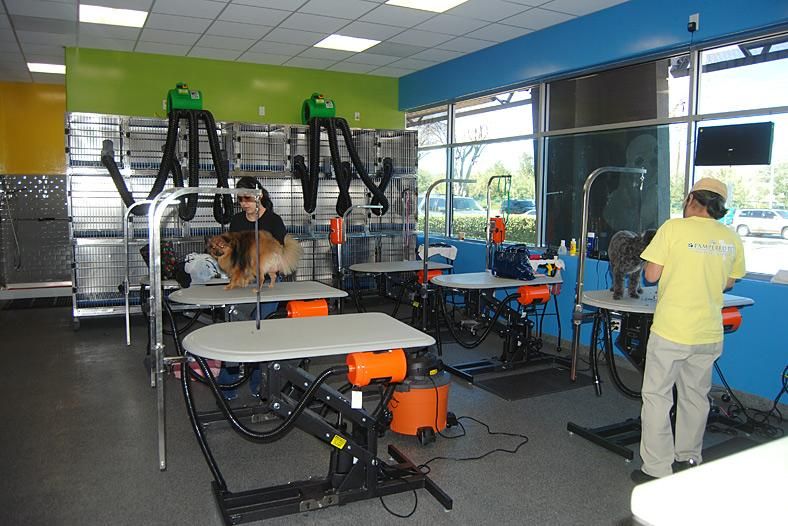 Woodland West Pet Resort Grooming