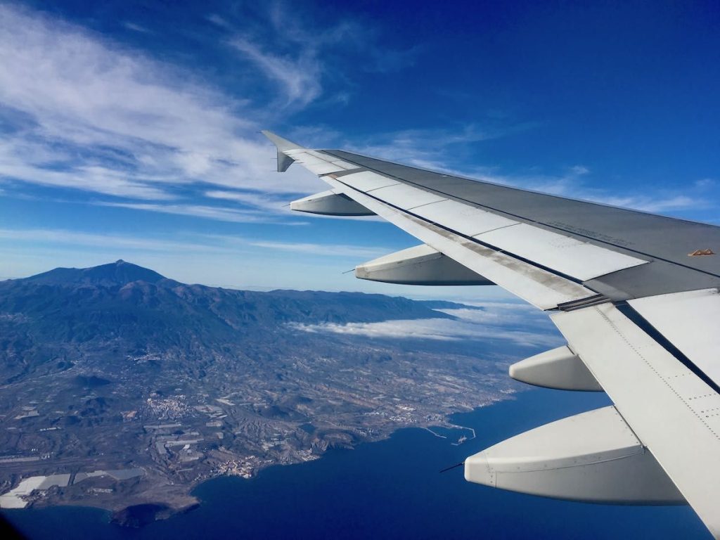 Hawaiian Airlines In Cabin Pet Policy