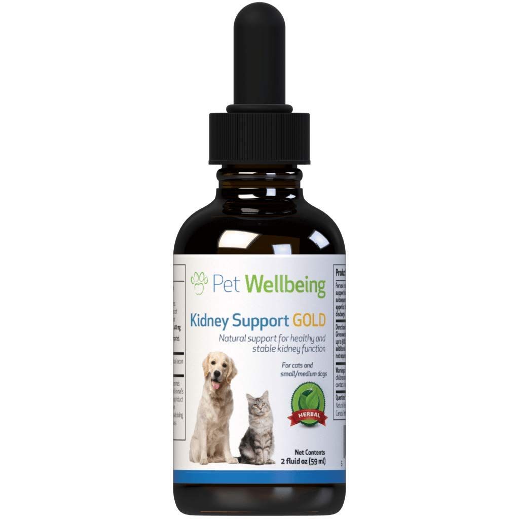 Pet Wellbeing Kidney Support Gold For Cats Reviews