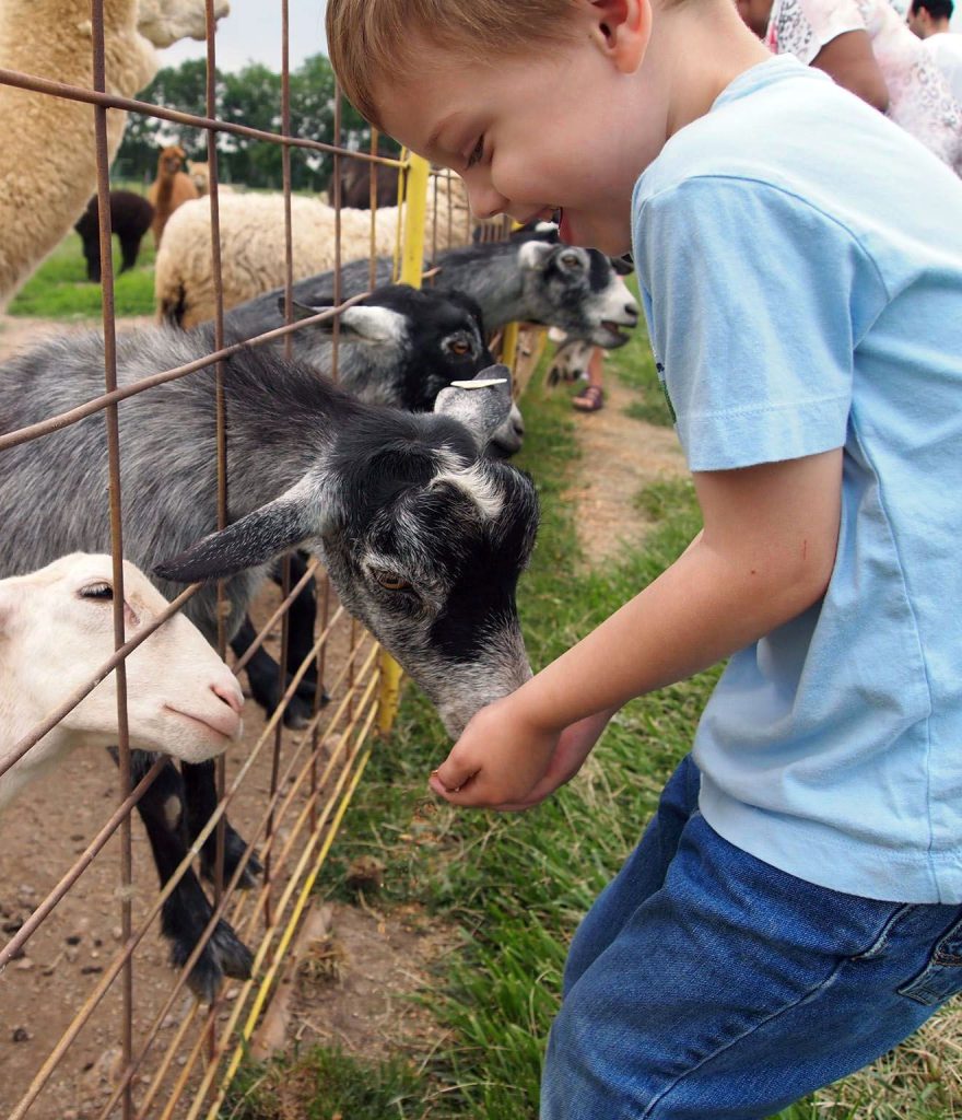 Petting Zoo Urbana Maryland