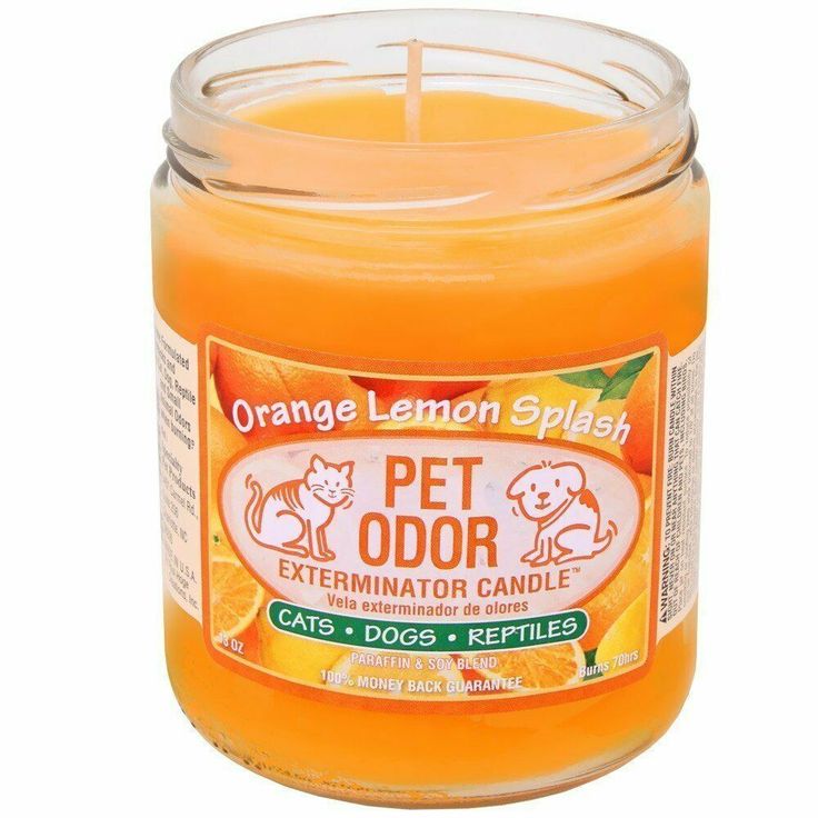 Pet Odor Exterminator Candle Orange Lemon Splash