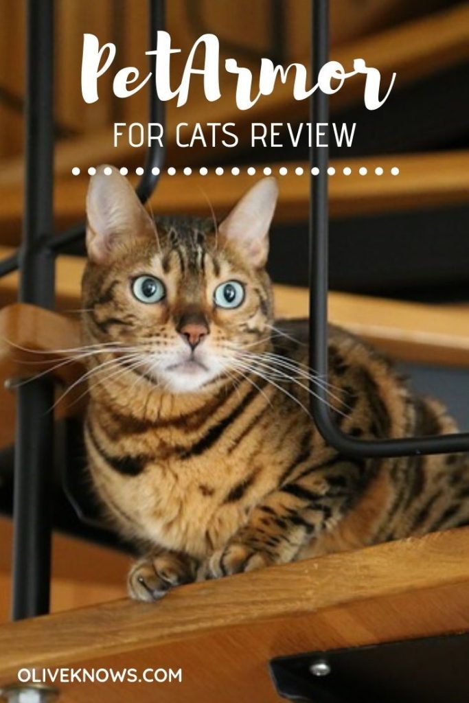 Petarmor For Cats Reviews