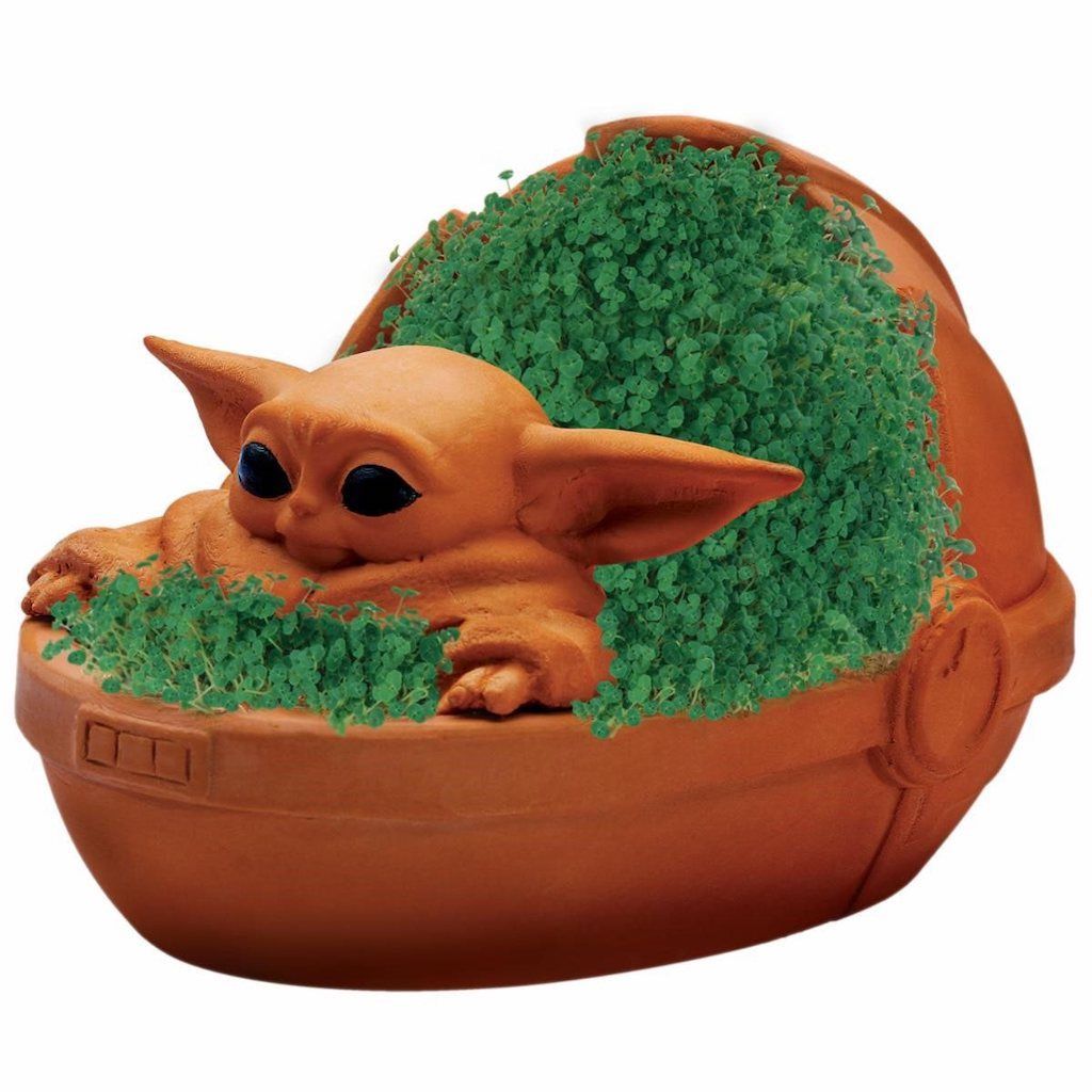 How To Grow A Baby Yoda Chia Pet