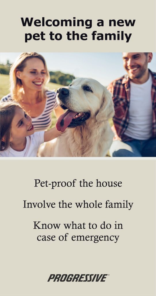 Pet Insurance Nj Progressive