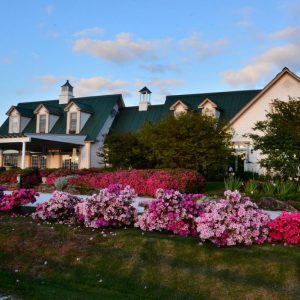 Dog Friendly Hotels Near Greenville Sc