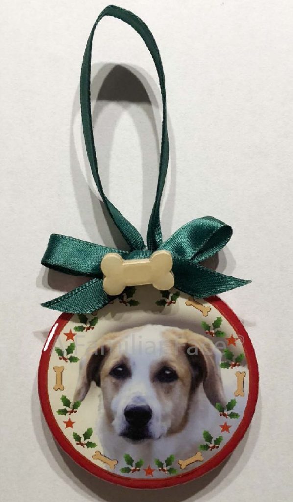 Personalized Family Pet Ornaments