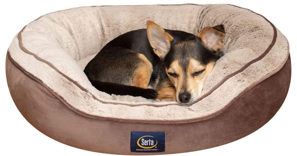 Walmart Serta Pet Beds