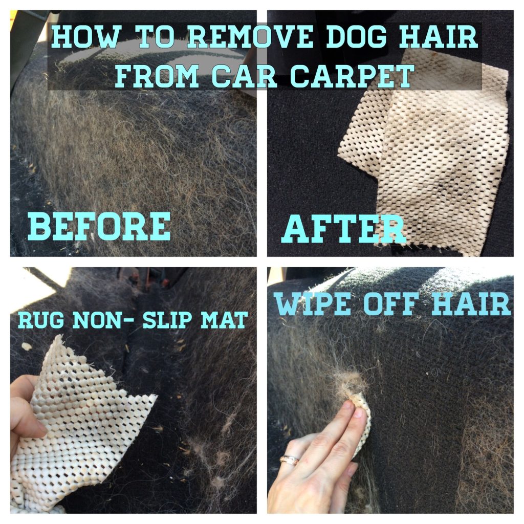 Remove Pet Hair From Carpet With A Squeegee