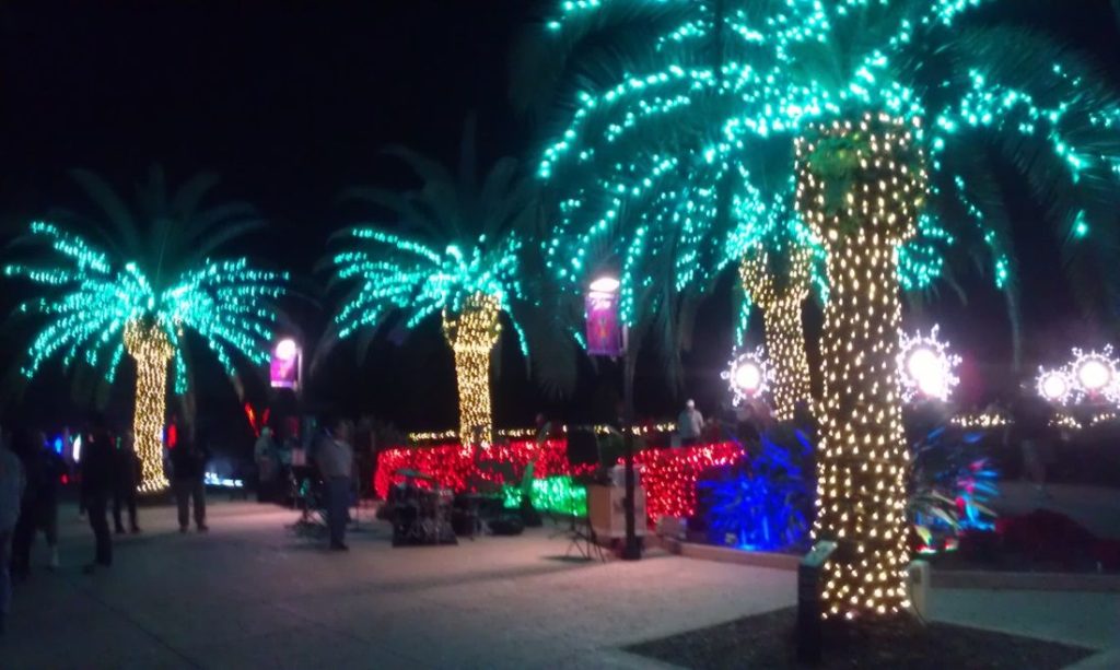 St Pete Botanical Gardens Christmas Lights