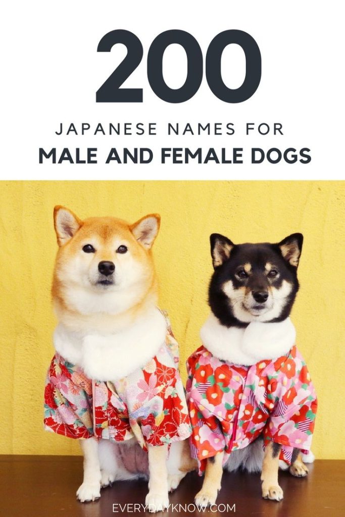 Japanese Pet Names Male