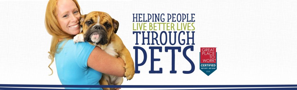 Pets And Vets As Partners