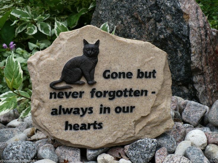 Pet Memorial Garden Stone For The Family Cat