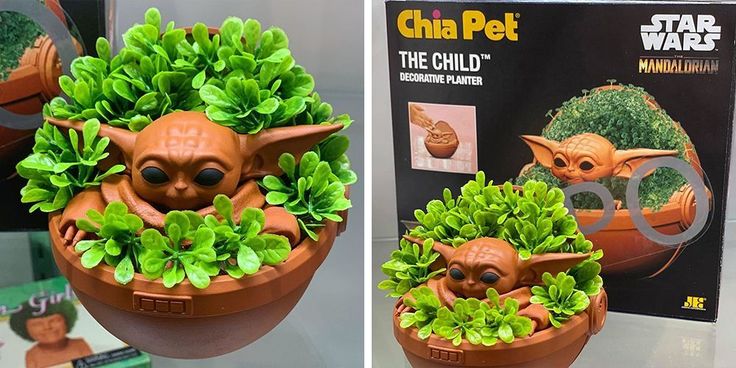 Chia Pet The Child Walmart