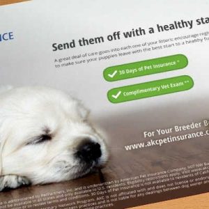 Is Akc Pet Insurance Worth It Reddit