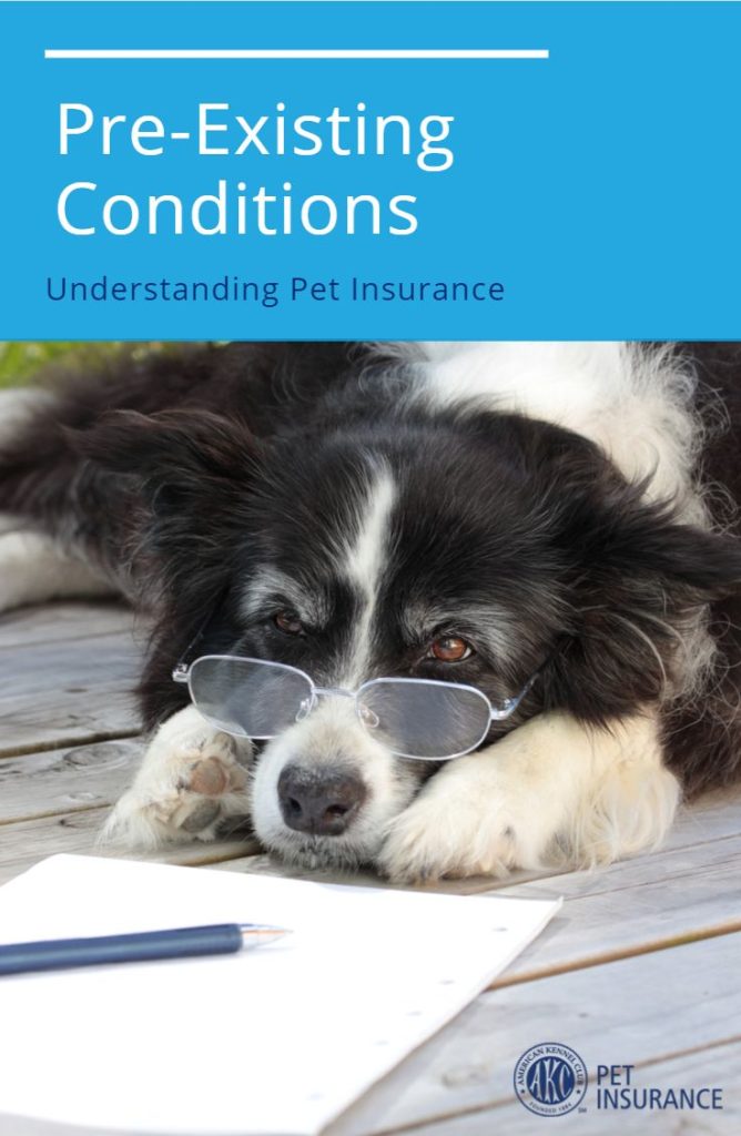 Pet Insurance Nj Pre Existing Conditions