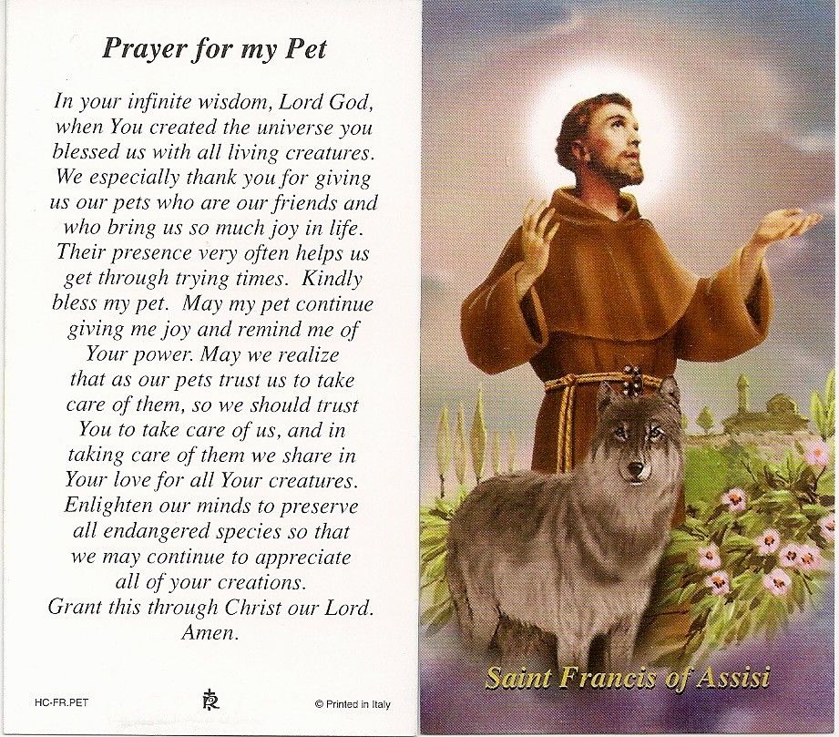 St Francis Prayer For Dead Pet