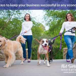 5 Quick Tips About Pet sitter companies