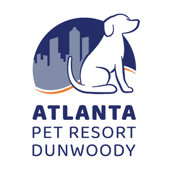 Discover the Ultimate Pet Resort Near You – Unmatched Comfort & Fun!