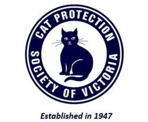 Save Feline Lives: Join Cat Protection Society Victoria Today!