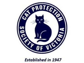 Save Feline Lives: Join Cat Protection Society Victoria Today!