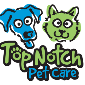 Top-notch pet care at Village Veterinary Clinic