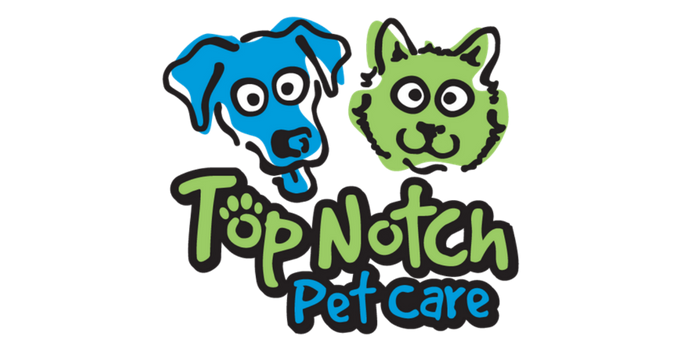 Top-notch pet care at Village Veterinary Clinic