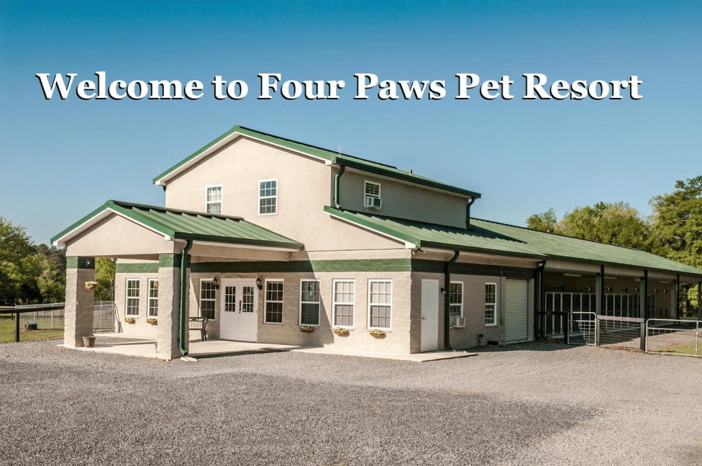 Unleash Fun and Comfort at 4 Paws Pet Resort – Your Furry Friend’s Dream Retreat!