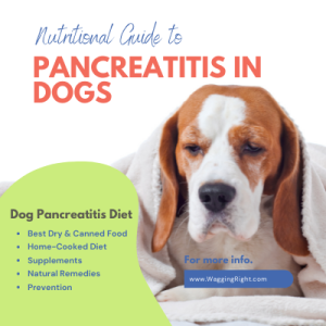 DIY Pancreatitis Relief: Home Treatment for Dogs