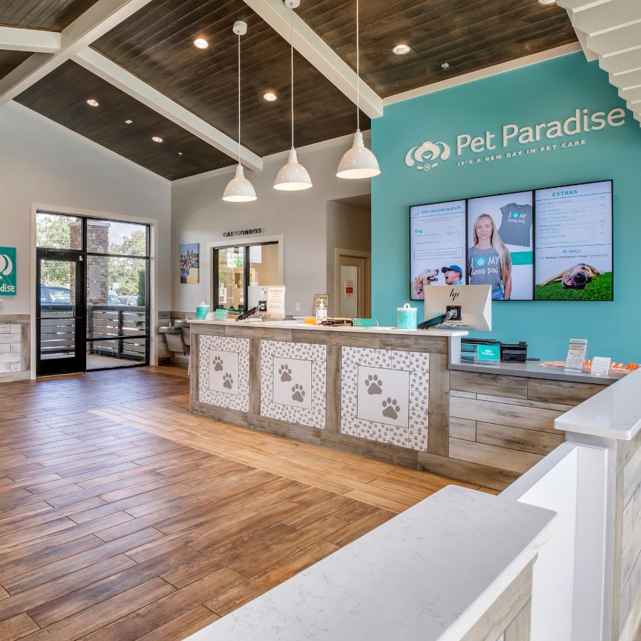 Ultimate Pet Paradise: Rdu Pet Resort – Unmatched Care & Fun!