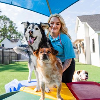 Unleash the Ultimate Pet Paradise in Atlanta – Explore & Indulge!