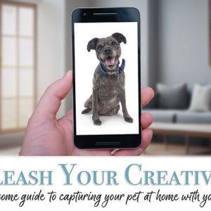 Pawsome Portraits: Capture Your Furry Friend’s Charm