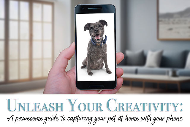 Pawsome Portraits: Capture Your Furry Friend’s Charm