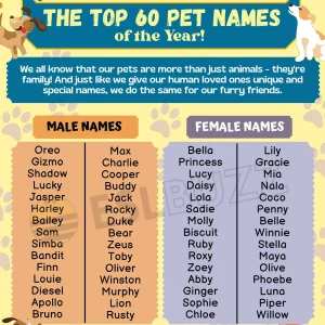 Review Of Cute Pet Names References