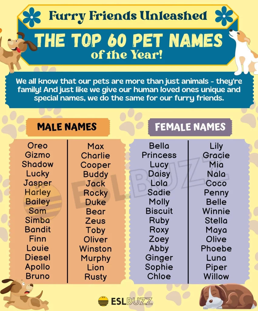 Review Of Cute Pet Names References