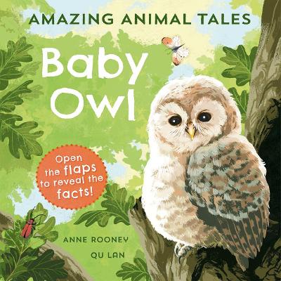 The Best Amazing Animal Tales Baby Owl Ideas