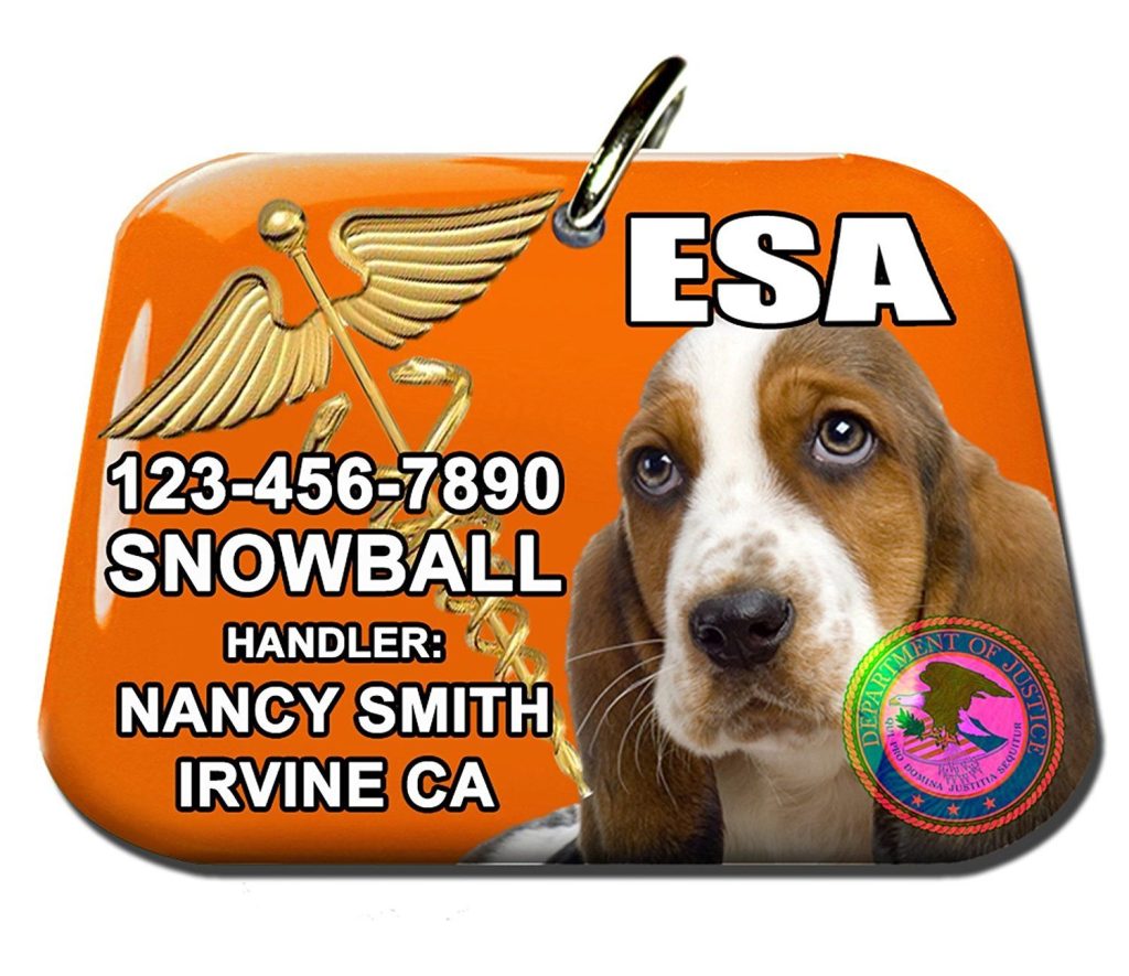 United Support Animals Esa Reviews