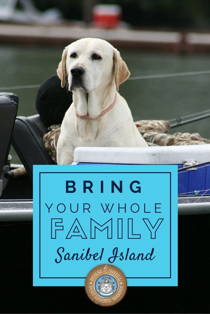 Pet Friendly Accommodations Sanibel Island Florida