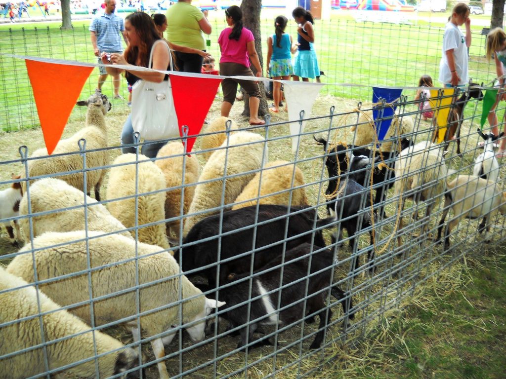 Animal Petting Zoo Rentals