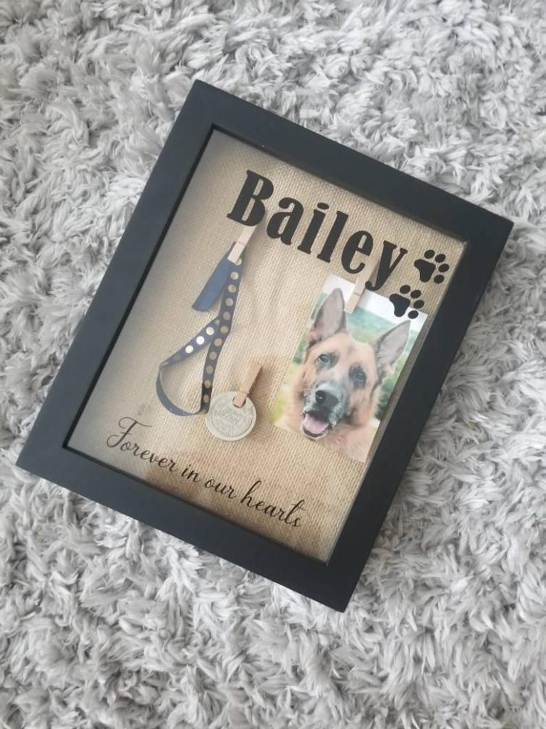 Etsy Pet Memorial Shadow Box