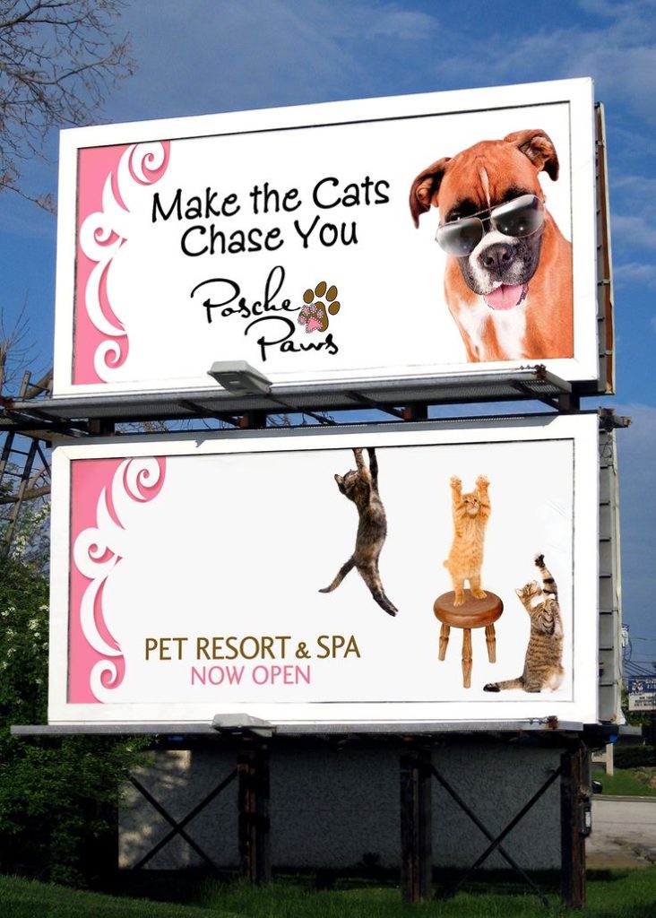 Paws Pet Resort Prices