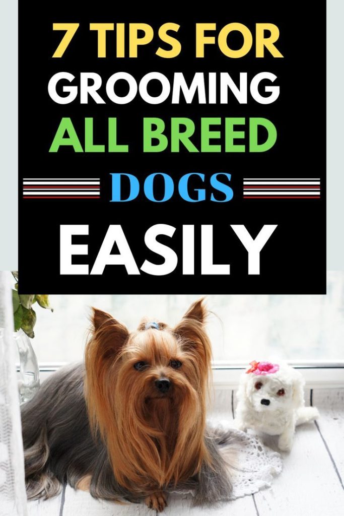 All For The Pet Grooming