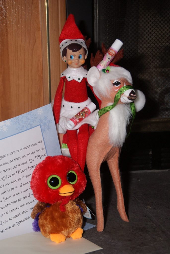 Does The Elf On The Shelf Pet Reindeer Move