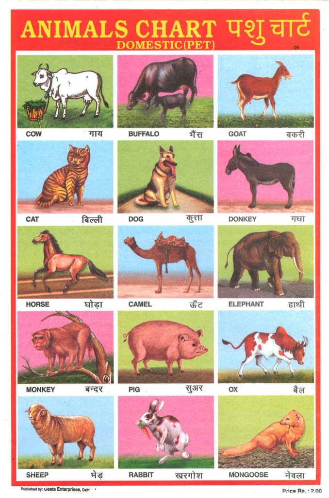 Pet Animals Name In India