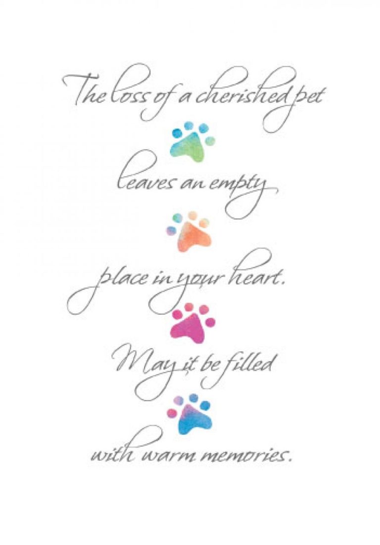 pet-sympathy-card-loss-of-a-pet-sympathy-card-for-by-triocards-4-75