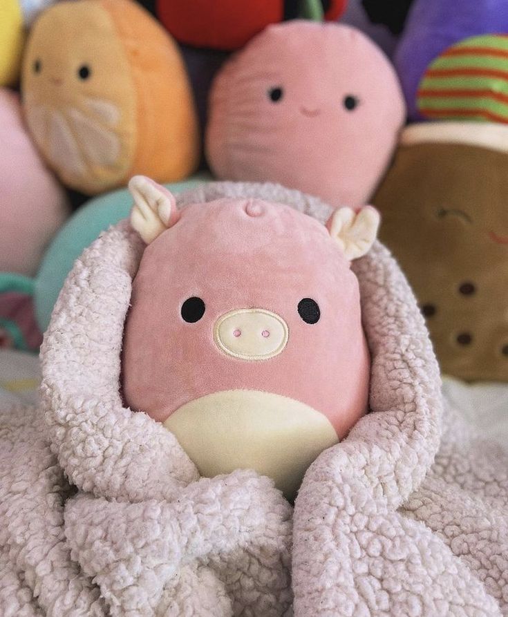 Peter The Pig Squishmallow 24