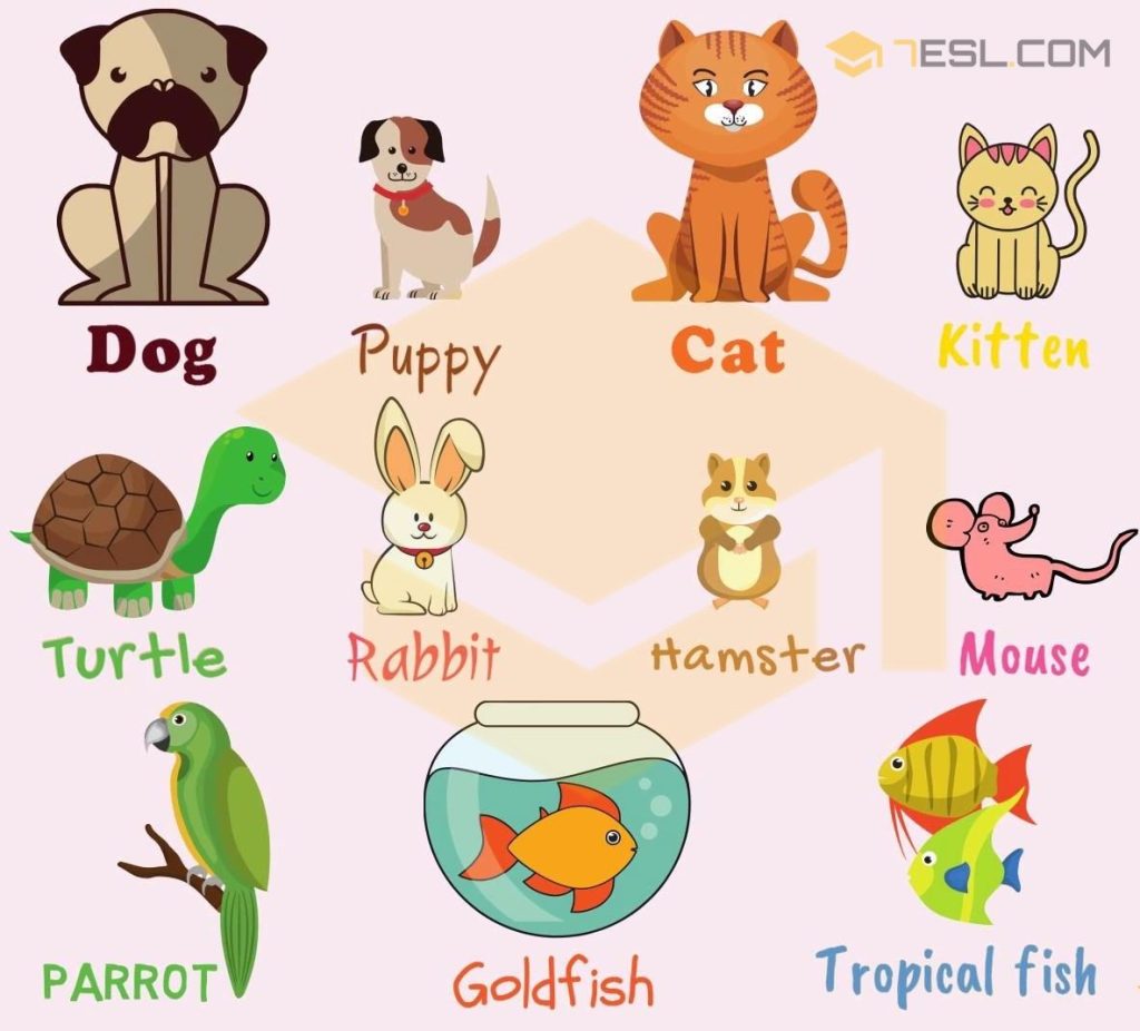 Pet Animals Name List With Picture